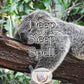 Deep Sleep Spell - fall asleep faster and sleep more soundly through the night