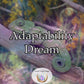 Adaptability Dream - become more flexible and resilient in the face of change