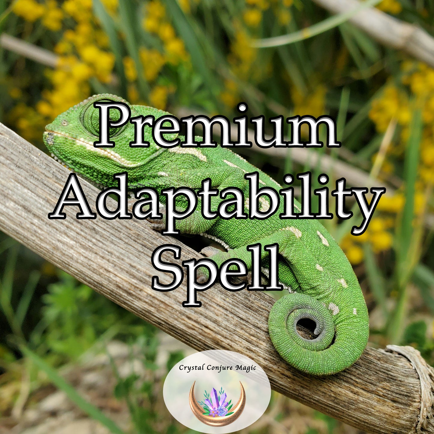 Premium Adaptability Spell - become more flexible and resilient in the face of change