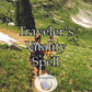 Traveler's Vitality Spell - feel revitalized and refreshed as you create unforgettable memories