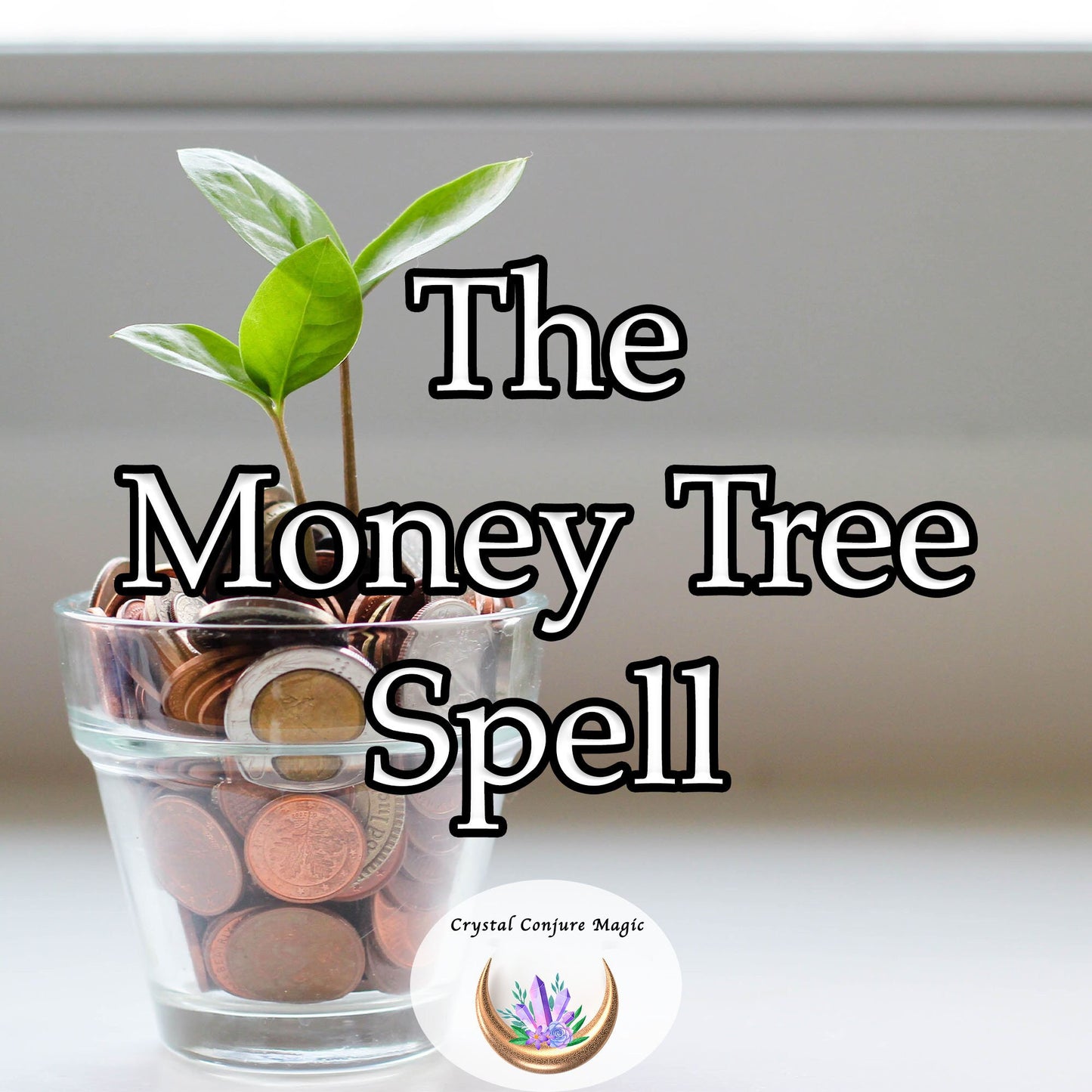 The Money Tree Spell - Financial freedom Peace of Mind Keep Cash Manifest Money Gain Financial Freedom