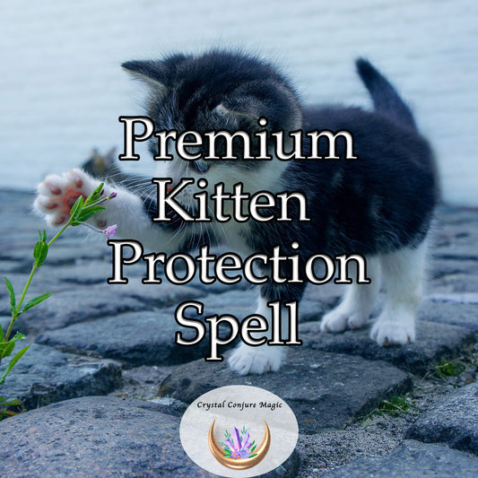 Premium Kitten Protection Spell - Add some magic to keep your new kitten safe and happy and protect them and keep them happy