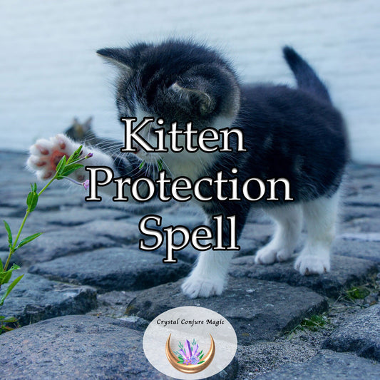 Kitten Protection Spell - Add some magic to keep your new kitten safe and happy and protect them and keep them happy