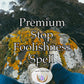 Premium  Stop Foolishness Spell - make smart decisions in love and with your hard earned money