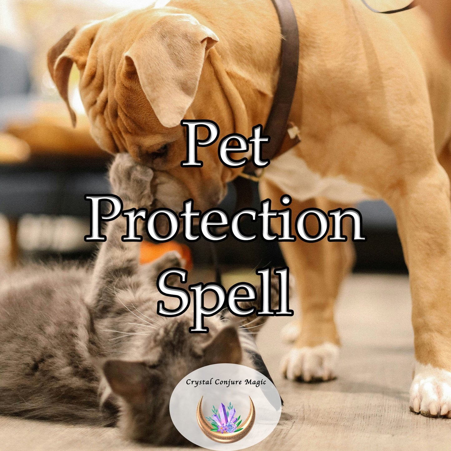 Pet Protection Spell - designed to keep your beloved companions safe, happy, and healthy