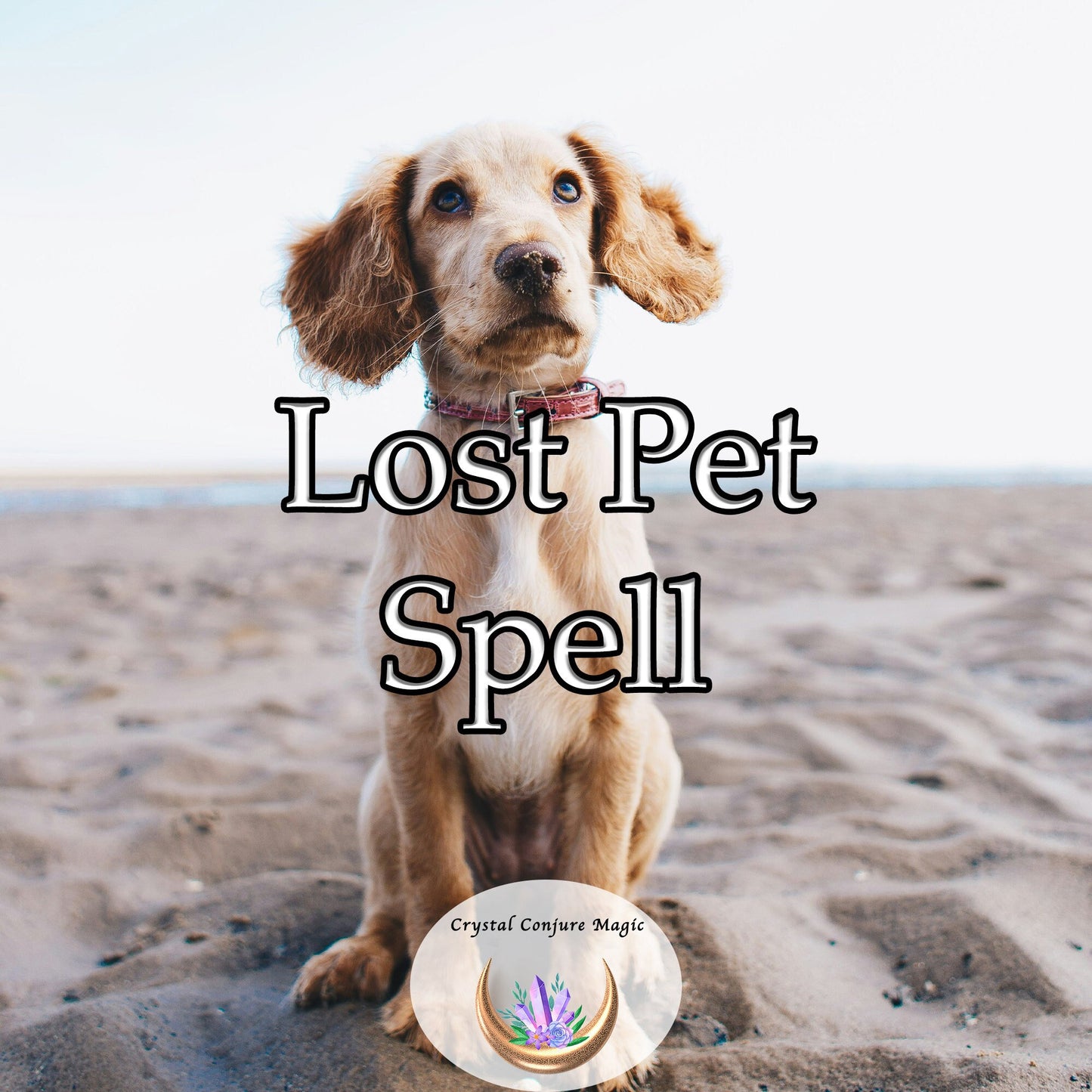 Lost Pet Spell - magnify the invisible line of affection, trust, and understanding with your pet