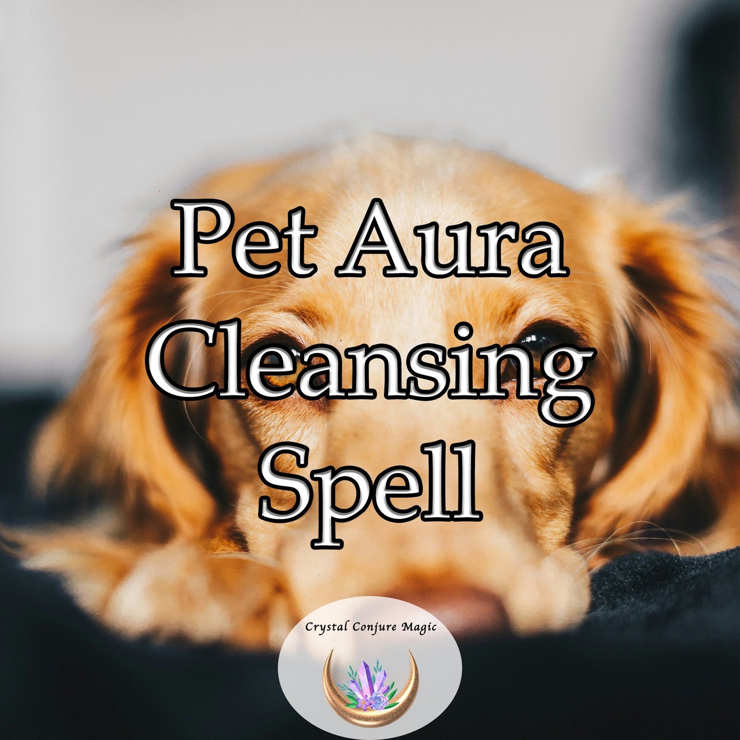 Pet Aura Cleansing Spell - cleanse your pet's aura, restoring balance and harmony