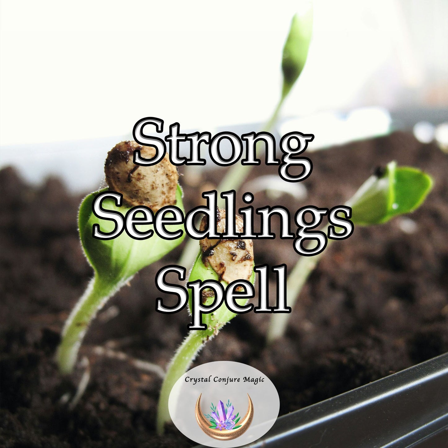 Strong Seedlings Spell - imbue your seedlings with the strength they need to thrive